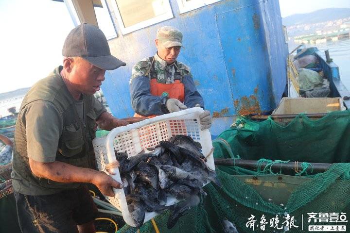 长岛国际附近美食_长岛国际属于哪个区_长岛国际大酒店